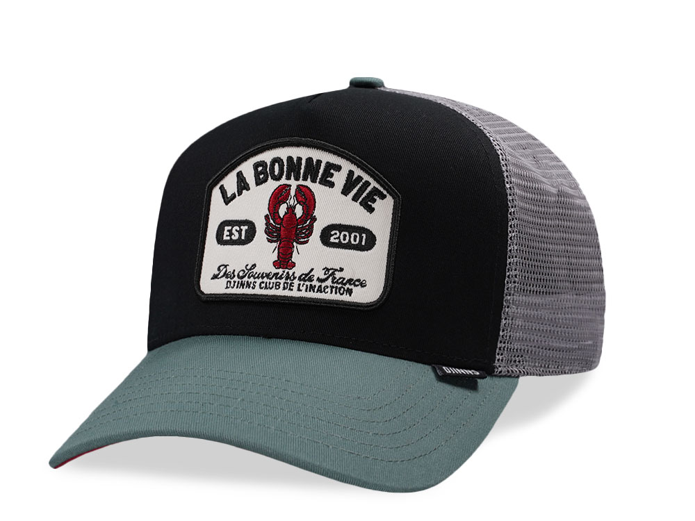 Djinns HFT La Bonne Vie Black Trucker Snapback Cap