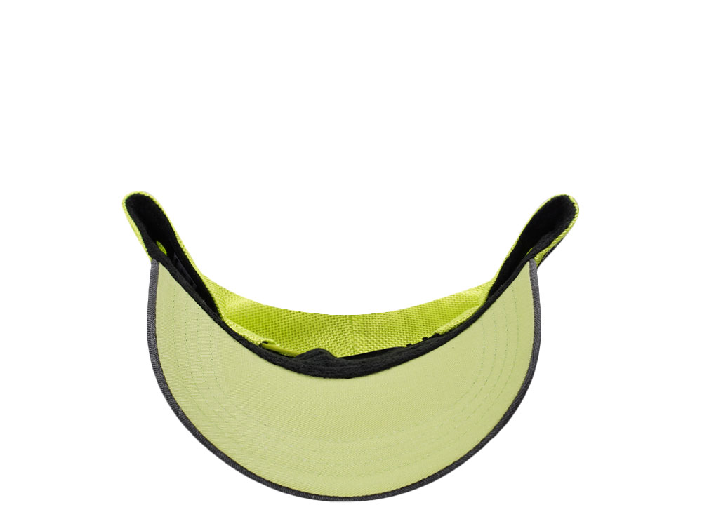 Capslab Rick And Morty Trucker Snapback Cap