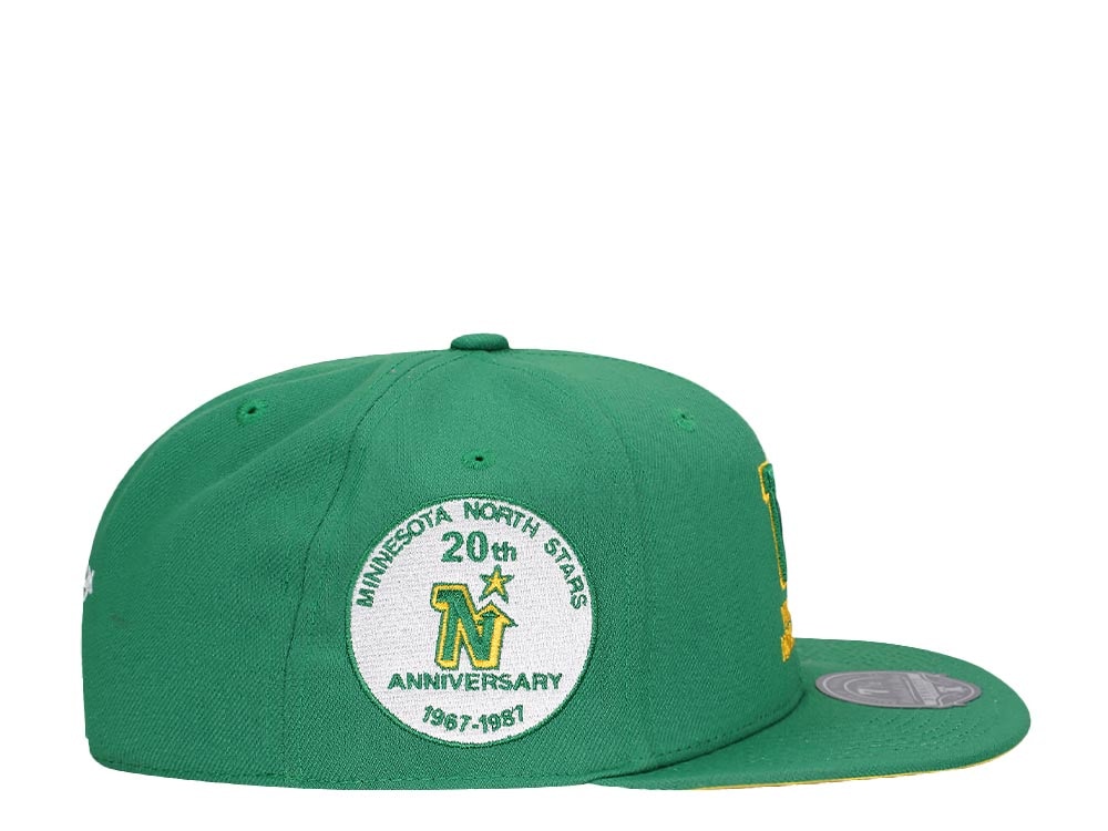 Mitchell & Ness Minnesota North Stars 20th Anniversary Vintage Edition Dynasty Fitted Cap
