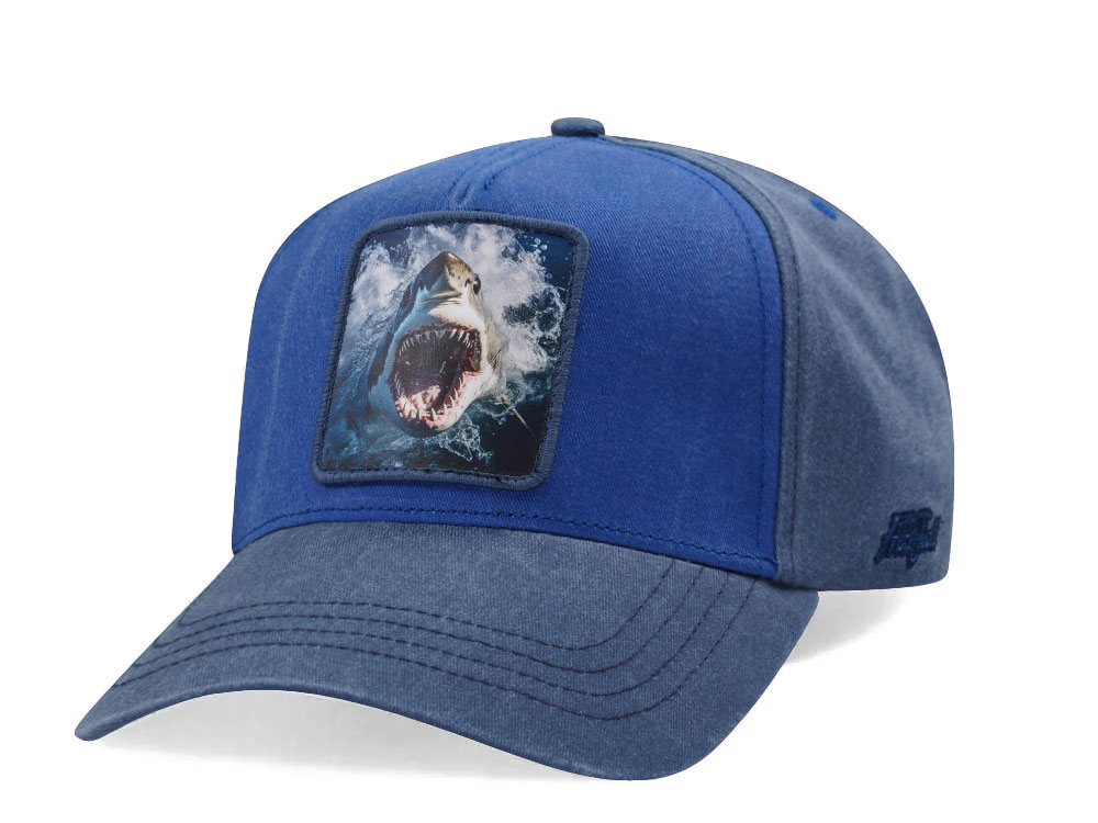 Hatfield Baby Shark Blue Snapback Cap