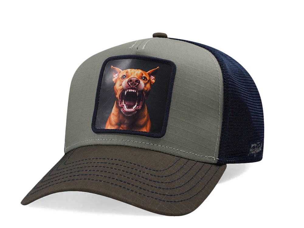 Hatfield Barking Dog Olive Trucker Snapback Cap