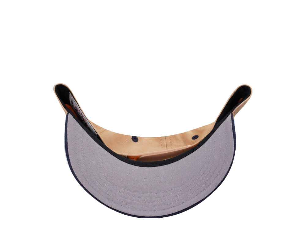American Needle Yellowstone National Park Roscoe Beige Snapback Cap