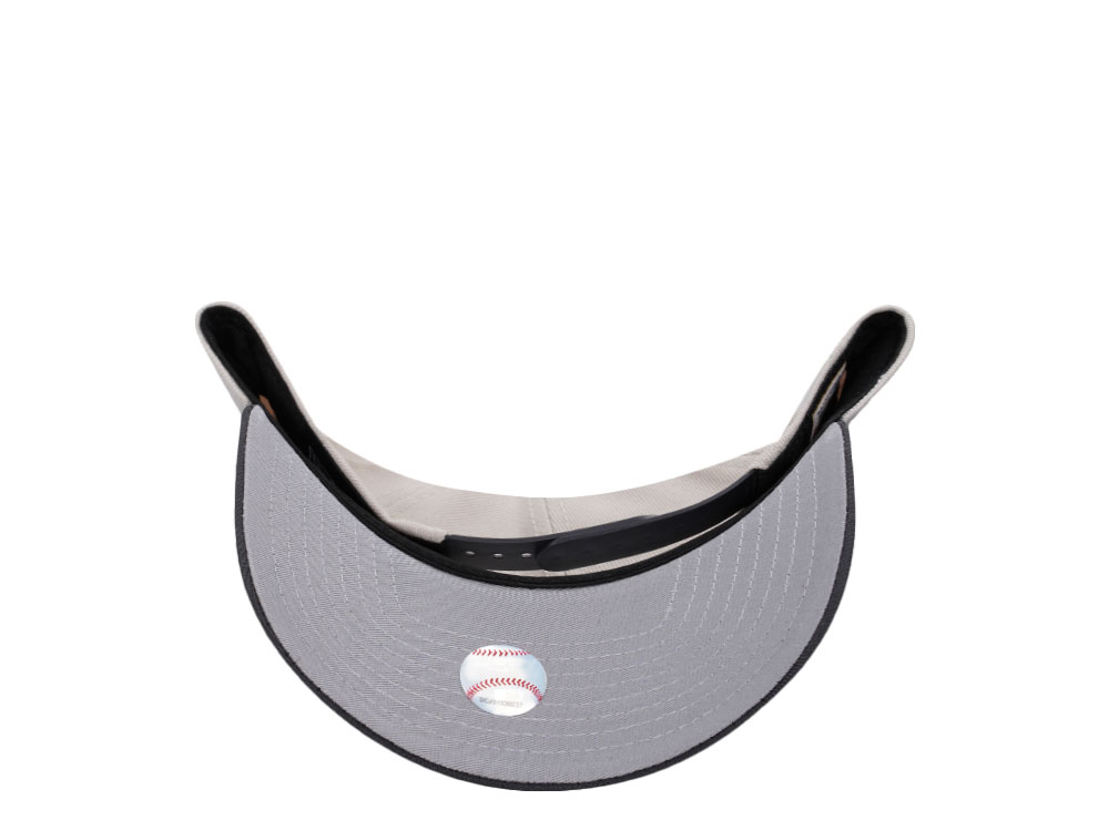 New Era Minnesota Twins Inaugural Season 2010 Metallic Two Tone Edition 9Forty A Frame Snapback Cap